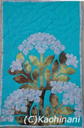 ajisi